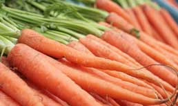 Carrot Update