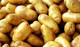 Potato Market Update