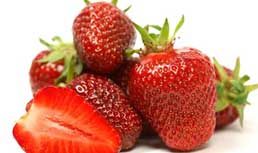 Florida Strawberry Update