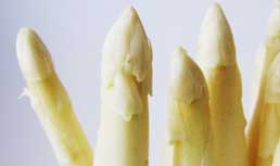 White Asparagus