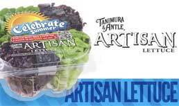 Celebrate Summer with Artisan Lettuce