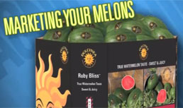 Melon Merchandising