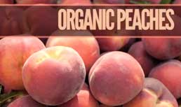Organic Peaches and Nectarines