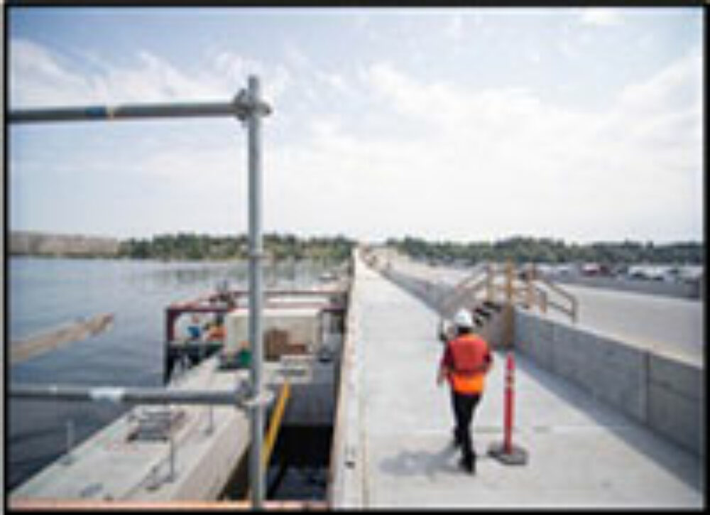 bridge7.jpg