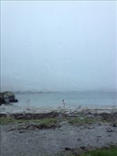 Look, over there!: by -mirra-, Views[262]