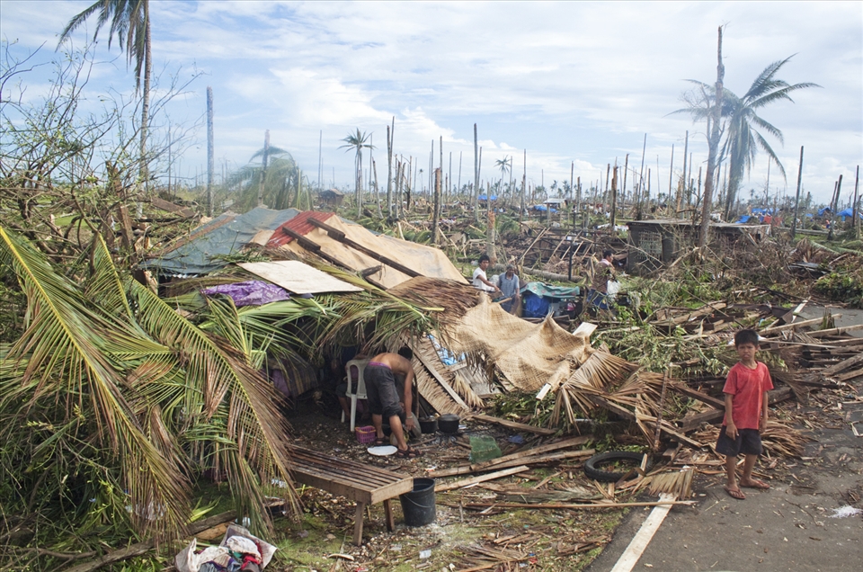 90% of residents are copra farmers, the place will not fully recover in 10-12 years