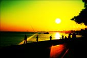 in sunset  .. : by 1453, Views[232]
