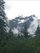 by 1911sven, Views[235]