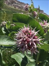 by 1911sven, Views[275]