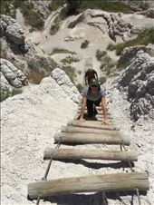 by 1911sven, Views[391]