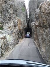 by 1911sven, Views[221]