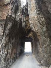 by 1911sven, Views[251]