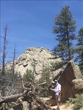 by 1911sven, Views[565]