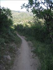 by 1911sven, Views[277]