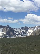 by 1911sven, Views[204]