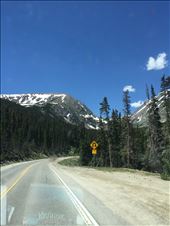 by 1911sven, Views[499]