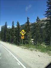 by 1911sven, Views[564]