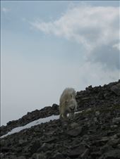 by 1911sven, Views[331]