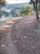 by 1911sven, Views[261]