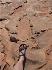 by 1911sven, Views[179]