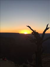 by 1911sven, Views[459]