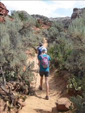 by 1911sven, Views[228]