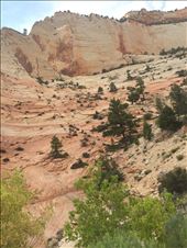 by 1911sven, Views[527]