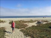 Doran Beach: by 1911sven, Views[558]