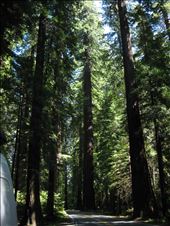 by 1911sven, Views[610]