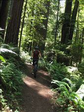 by 1911sven, Views[225]