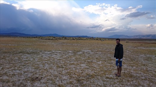 walking to the surprise