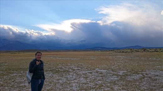 wondering what we'll do...