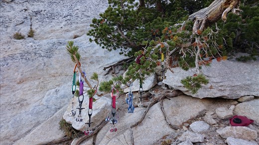 how climbers decorate their x-mas tree