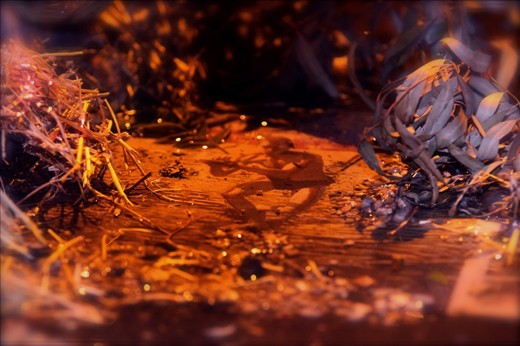 Walking to a train at night seeing a newspaper in a puddle under a street light, threw some sticks on it and shot it.