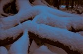 Snow Kingdom.: by 2fish, Views[813]