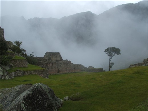The lonely tree of Machu Picchu
It was 21.12.2012. In the morning it was a beautiful shiny day, and full of tourist. In the afternoon it started to rain, and all the people went away.Then I felt the strong energy of this place, and this lonely tree watching over the past times of the lost city.