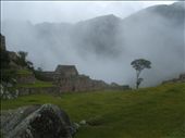 The lonely tree of Machu Picchu
It was 21.12.2012. In the morning it was a beautiful shiny day, and full of tourist. In the afternoon it started to rain, and all the people went away.Then I felt the strong energy of this place, and this lonely tree watching over the past times of the lost city.: by 30daytriptoperu, Views[395]