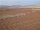 Riserva National de Paracas
This place is made only of stones and sand, it may seem that it has nothing but it has everything you need inside. It’s Peru.: by 30daytriptoperu, Views[499]