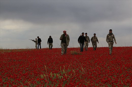 Free Army fighters walk in a field of flowers during a reconnaissance mission