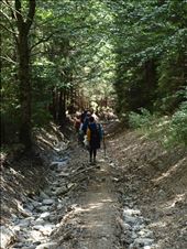 by 4aynikitravel, Views[128]