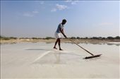 Tabula Rasa:
A man working under fierce sun, the natural spirulina salt fields still manages to looks serene, almost snow-white.: by 7colors, Views[874]