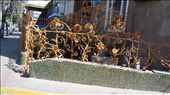 Withered flower railing: by 7dayadventurer, Views[1281]