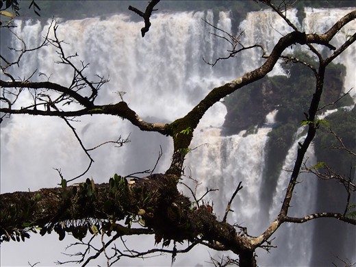 Iguazu