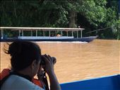 Avian watch on the river: by 7dayadventurer, Views[210]