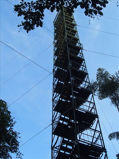 Canopy viewing tower