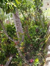 A tiny green space on the site: by 7dayadventurer, Views[1134]