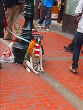 by 7dayadventurer, Views[236]