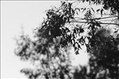by 9duncanlee9, Views[140]