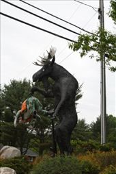 by OffTheBeatenPath, Views[224]