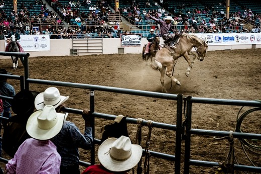 All eyes are on a young competitor as he engages in a battle of wills with 1200 pounds of palomino dynamite in the saddle bronc event. 8 seconds will determine if he walks away its master... or just another apprentice.